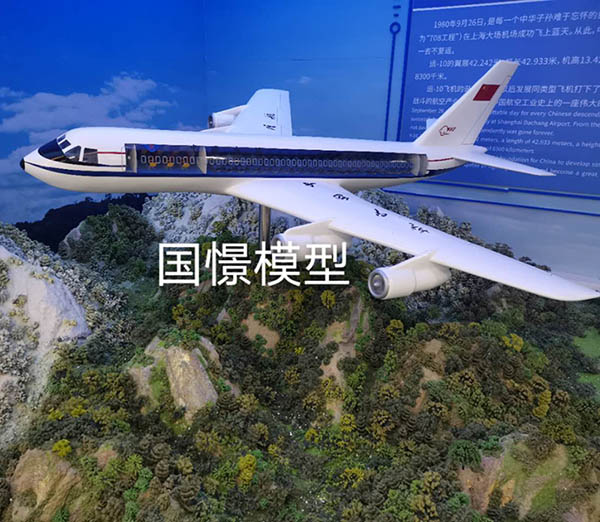 勐腊县飞机模型
